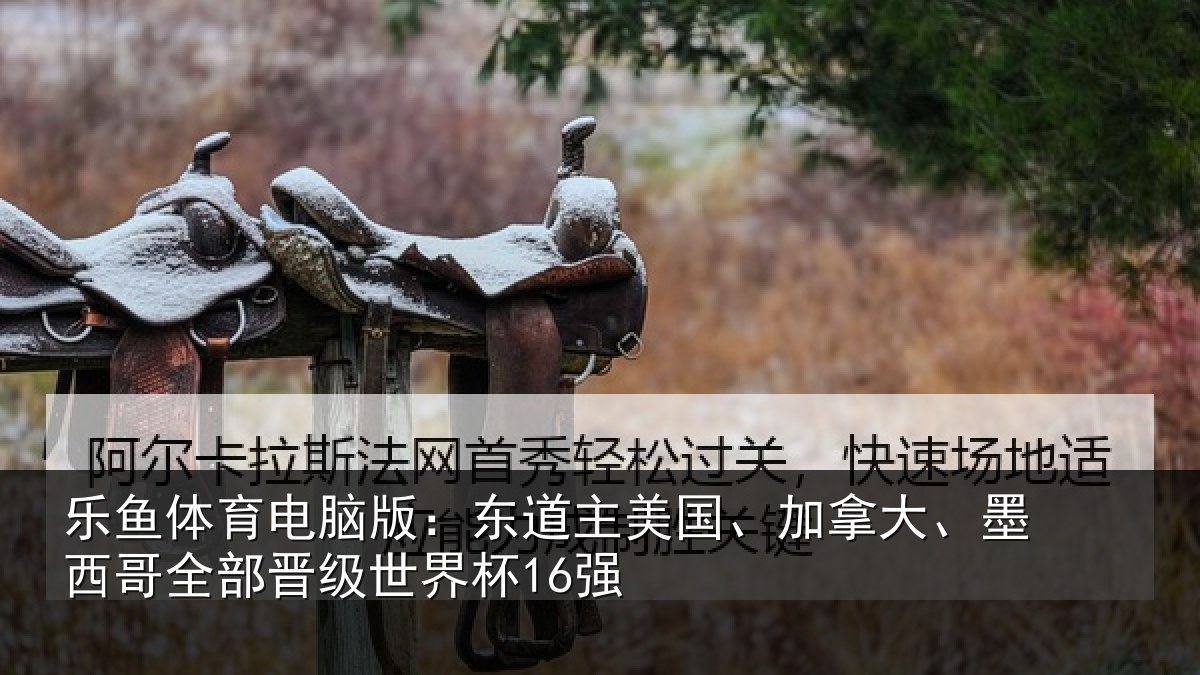 乐鱼体育电脑版：东道相关情况哥全部晋级世界杯16强